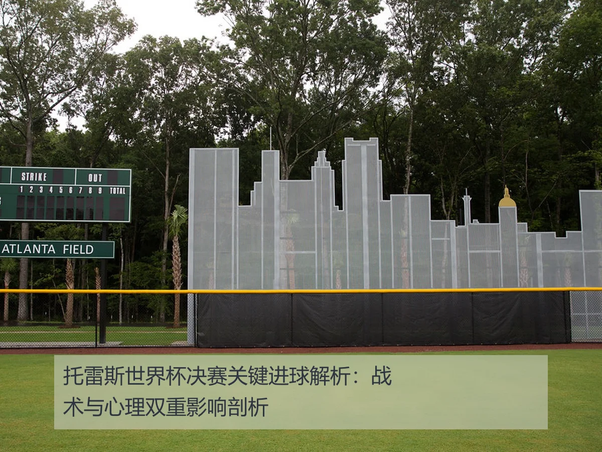 托雷斯世界杯决赛关键进球解析：战术与心理双重影响剖析